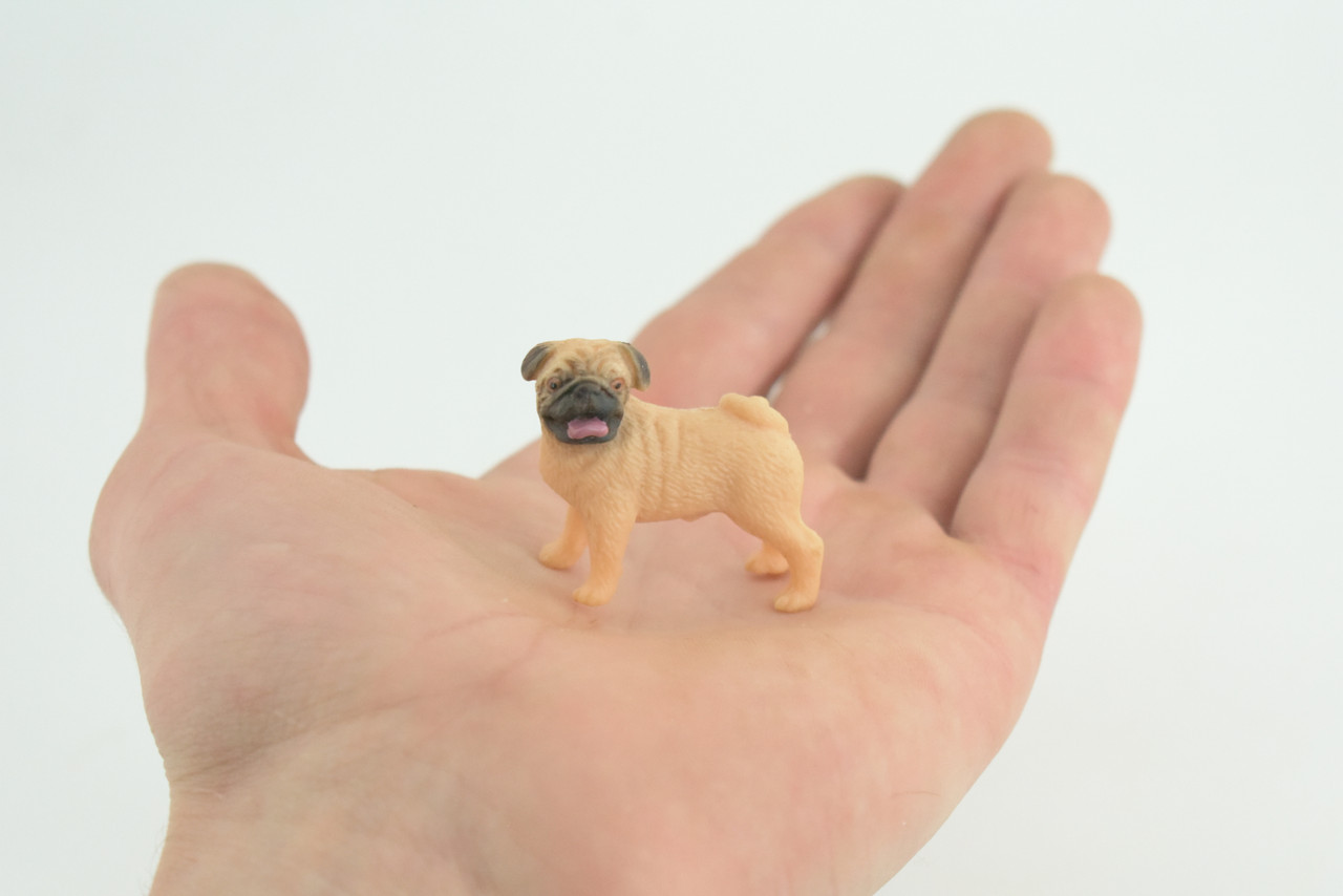 Pug Puppy Dog, Hand Painted, Educational, Museum Quality, Realistic, Rubber Canine, K9, Diorama, Figure, Toys, Kids, Gift, 1 3/4 Inches. CH917 BB204