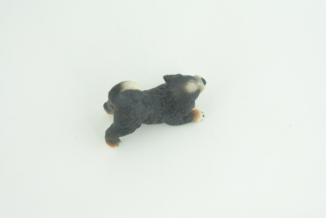 Bernese Mountain Dog, Puppy, Hand Painted, Educational, Museum Quality, Realistic, Rubber Canine, K9, Diorama, Figure, Toys, Kids, Gift,  1 3/4 Inches. CH918 BB204