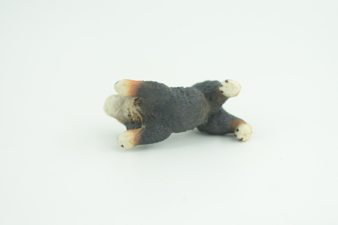 Bernese Mountain Dog, Puppy, Hand Painted, Educational, Museum Quality, Realistic, Rubber Canine, K9, Diorama, Figure, Toys, Kids, Gift,  1 3/4 Inches. CH918 BB204