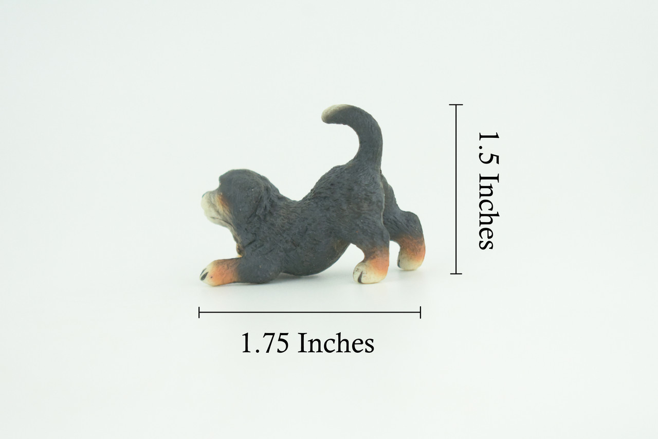 Bernese Mountain Dog, Puppy, Hand Painted, Educational, Museum Quality, Realistic, Rubber Canine, K9, Diorama, Figure, Toys, Kids, Gift, 1 3/4 Inches. CH918 BB204