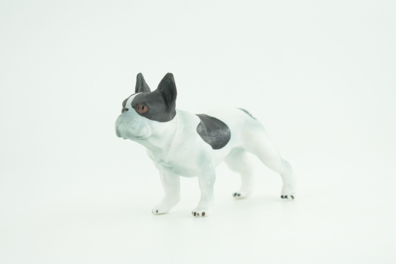 French Bulldog, Frenchie, Hand Painted, Educational, Museum Quality, Rubber Canine, K9, Realistic,  Diorama, Figure, Toys, Kids, Gift,  3 Inches. CH919 BB204