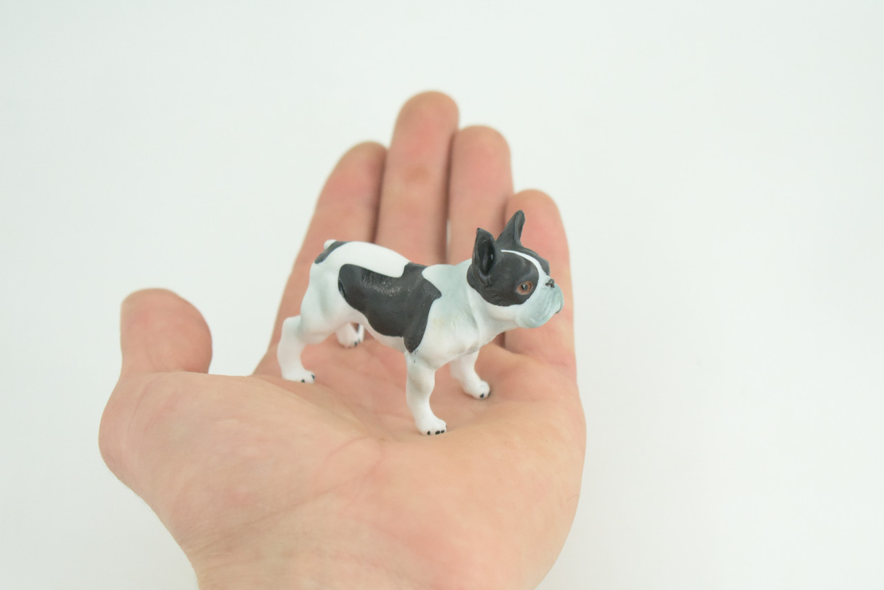 French Bulldog, Frenchie, Hand Painted, Educational, Museum Quality, Rubber Canine, K9, Realistic, Diorama, Figure, Toys, Kids, Gift, 3 Inches. CH919 BB204