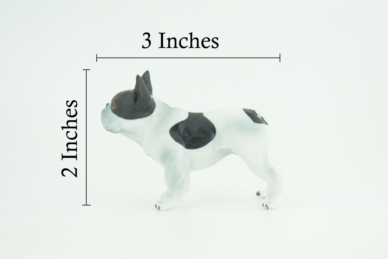 French Bulldog, Frenchie, Hand Painted, Educational, Museum Quality, Rubber Canine, K9, Realistic, Diorama, Figure, Toys, Kids, Gift, 3 Inches. CH919 BB204