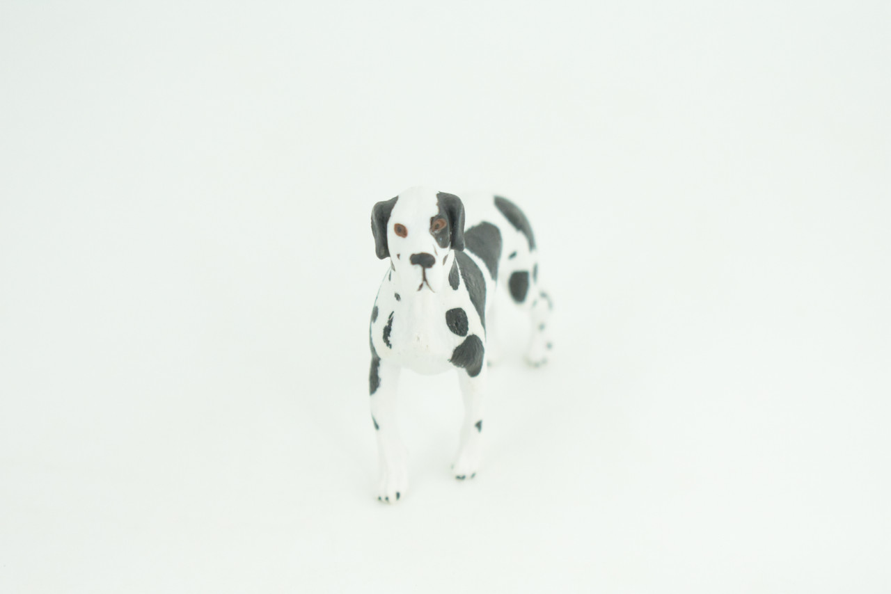 Great Dane Dog, Hand Painted, Educational, Museum Quality, Rubber Canine, K9, Realistic,  Diorama, Figure, Toys, Kids, Gift,  3 1/2 Inches. CH920 BB204