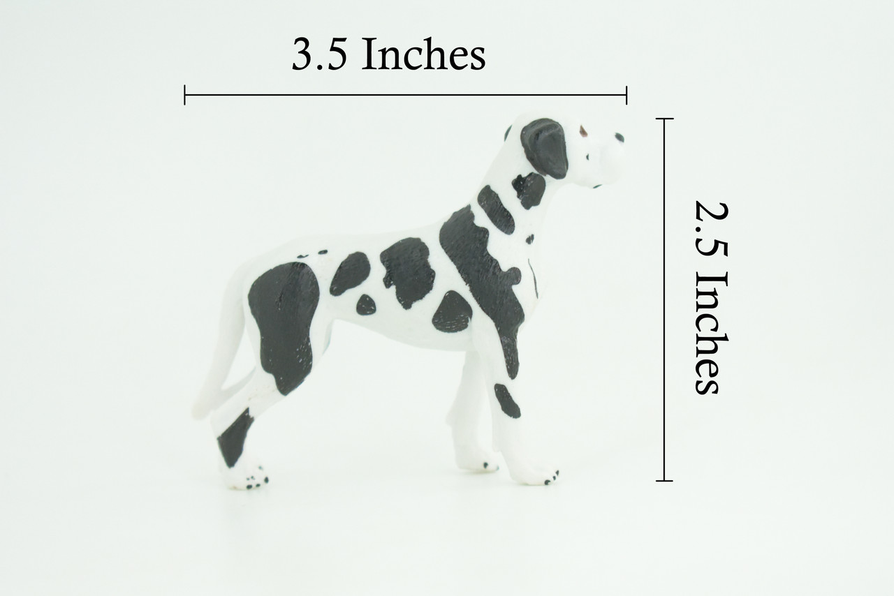 Great Dane Dog, Hand Painted, Educational, Museum Quality, Rubber Canine, K9, Realistic, Diorama, Figure, Toys, Kids, Gift, 3 1/2 Inches. CH920 BB204
