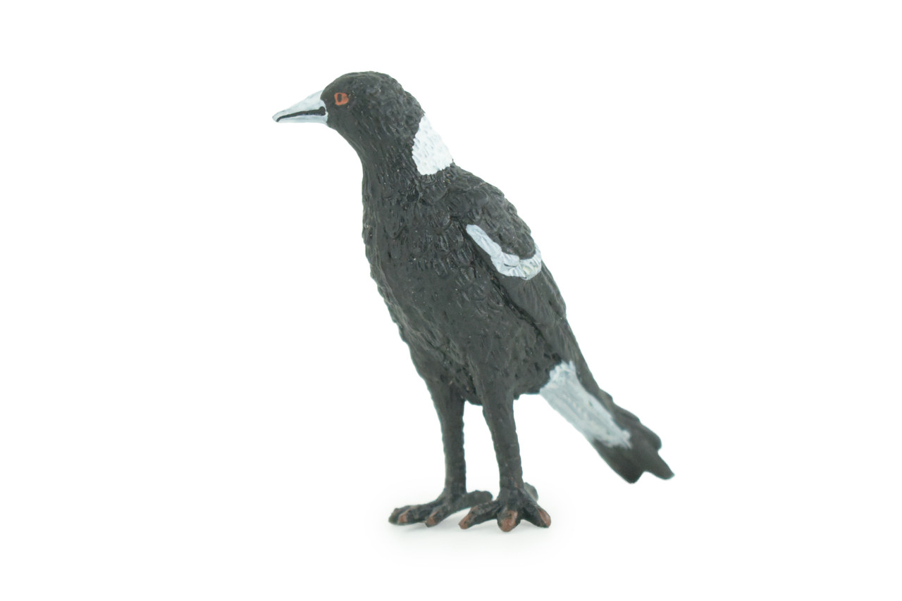 Magpie Bird, Hand Painted, Educational, High Quality Rubber Bird, Realistic, Diorama, Very Nice Design, Figure, Toys, Kids, Gift, 3 Inches. CH921 BB204