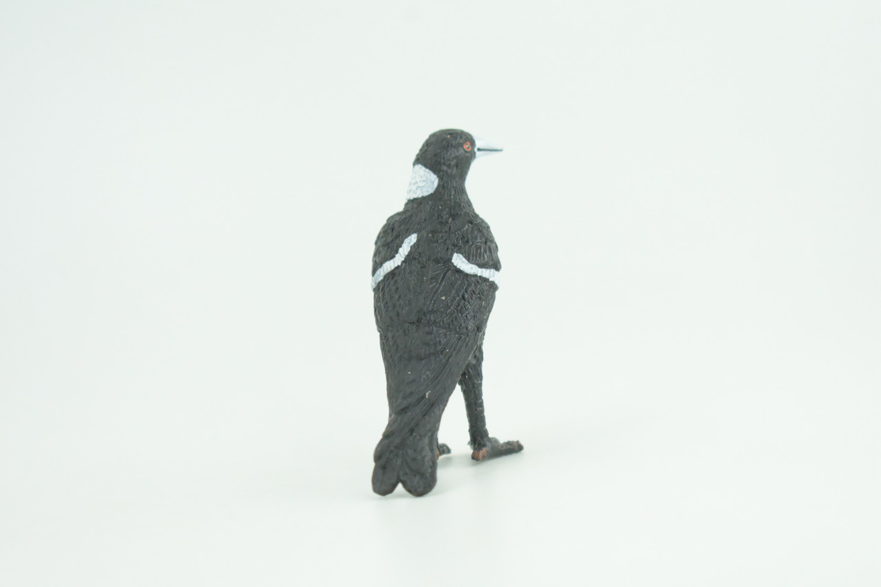 Magpie Bird, Hand Painted, Educational, High Quality Rubber Bird, Realistic, Diorama, Very Nice Design, Figure, Toys, Kids, Gift,  3  Inches. CH921 BB204