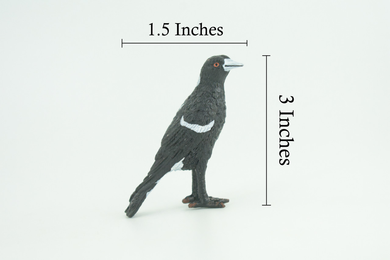 Magpie Bird, Hand Painted, Educational, High Quality Rubber Bird, Realistic, Diorama, Very Nice Design, Figure, Toys, Kids, Gift, 3 Inches. CH921 BB204
