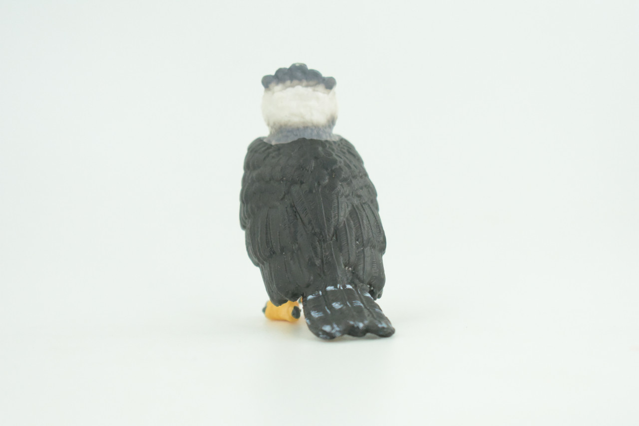 Harpy Eagle, Hand Painted, Educational, Museum Quality, Rubber Bird, Realistic, Raptor, Bird of Prey, Diorama, Toys, Kids, Gift,    3 Inches.    CH924 BB204