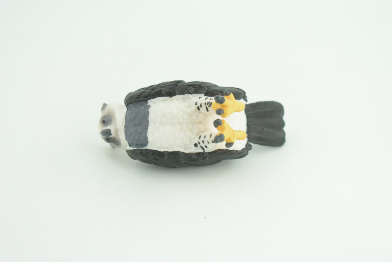 Harpy Eagle, Hand Painted, Educational, Museum Quality, Rubber Bird, Realistic, Raptor, Bird of Prey, Diorama, Toys, Kids, Gift,    3 Inches.    CH924 BB204