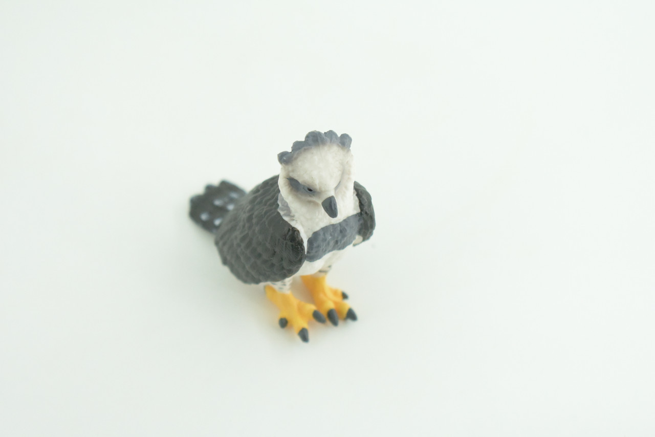 Harpy Eagle, Hand Painted, Educational, Museum Quality, Rubber Bird, Realistic, Raptor, Bird of Prey, Diorama, Toys, Kids, Gift,    3 Inches.    CH924 BB204