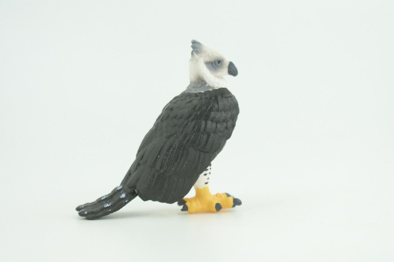 Harpy Eagle, Hand Painted, Educational, Museum Quality, Rubber Bird, Realistic, Raptor, Bird of Prey, Diorama, Toys, Kids, Gift,    3 Inches.    CH924 BB204