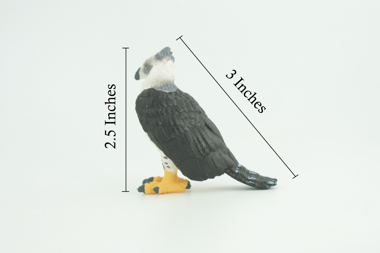 Harpy Eagle, Hand Painted, Educational, Museum Quality, Rubber Bird, Realistic, Raptor, Bird of Prey, Diorama, Toys, Kids, Gift, 3 Inches. CH924 BB204