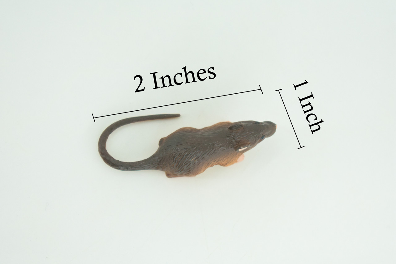 Mouse, Hand Painted, Educational, High Quality Rubber Rodent, Realistic House Mouse, Diorama, Very Nice Design, Toys, Kids, Gift, 2 1/2 Inches. CH927 BB204