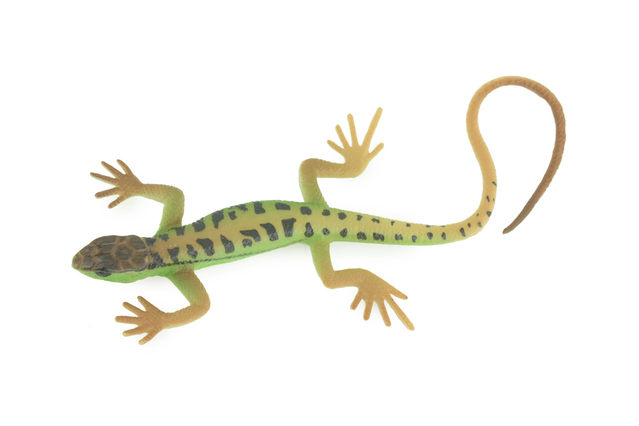 Lizard, Green Rock Lizard, Arribas, Museum Quality, Hand Painted, Rubber Reptile, Realistic Toy Figure, Model, Replica, Kids, Educational, Gift, 5 Inches. CH929 BB204