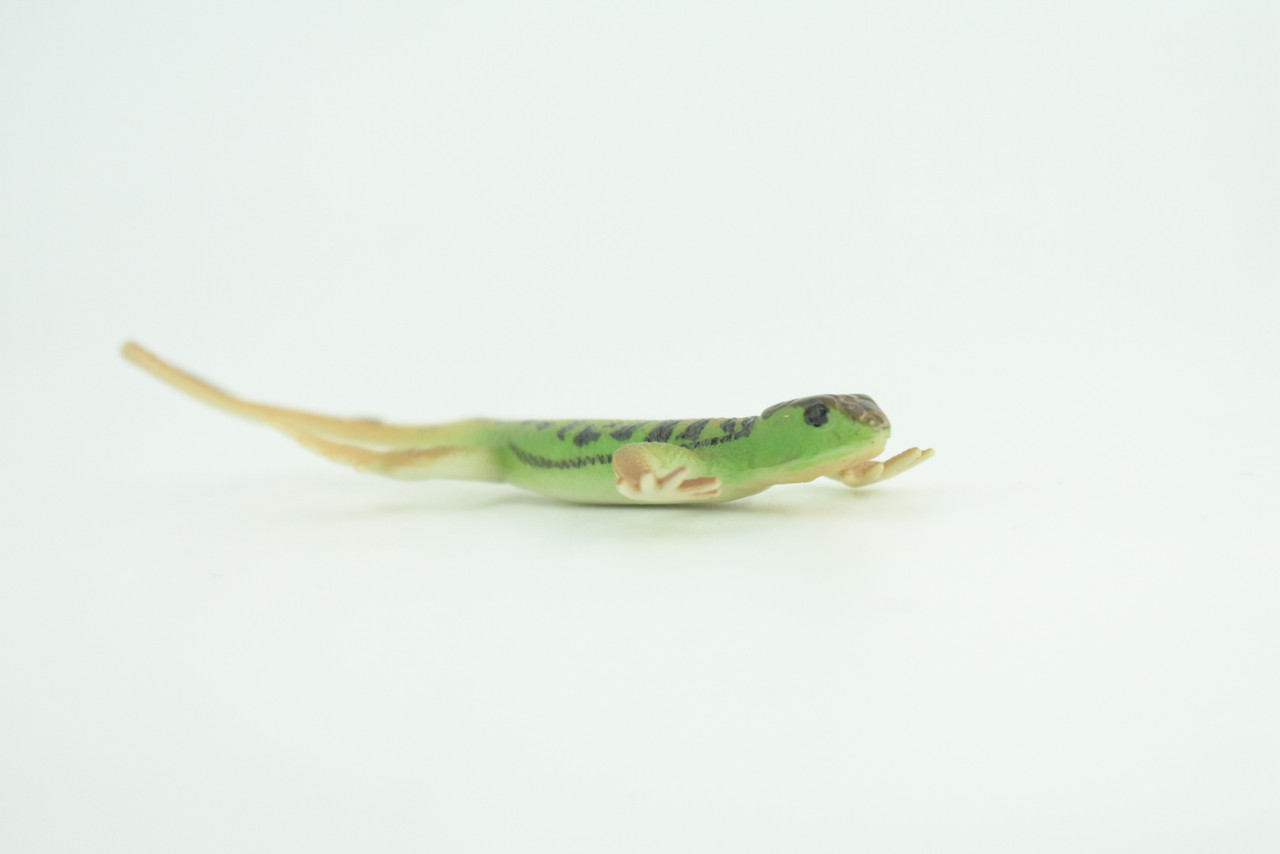Lizard, Green Rock Lizard, Arribas, Museum Quality, Hand Painted, Rubber Reptile, Realistic Toy Figure, Model, Replica, Kids, Educational, Gift,     5 Inches.   CH929 BB204
