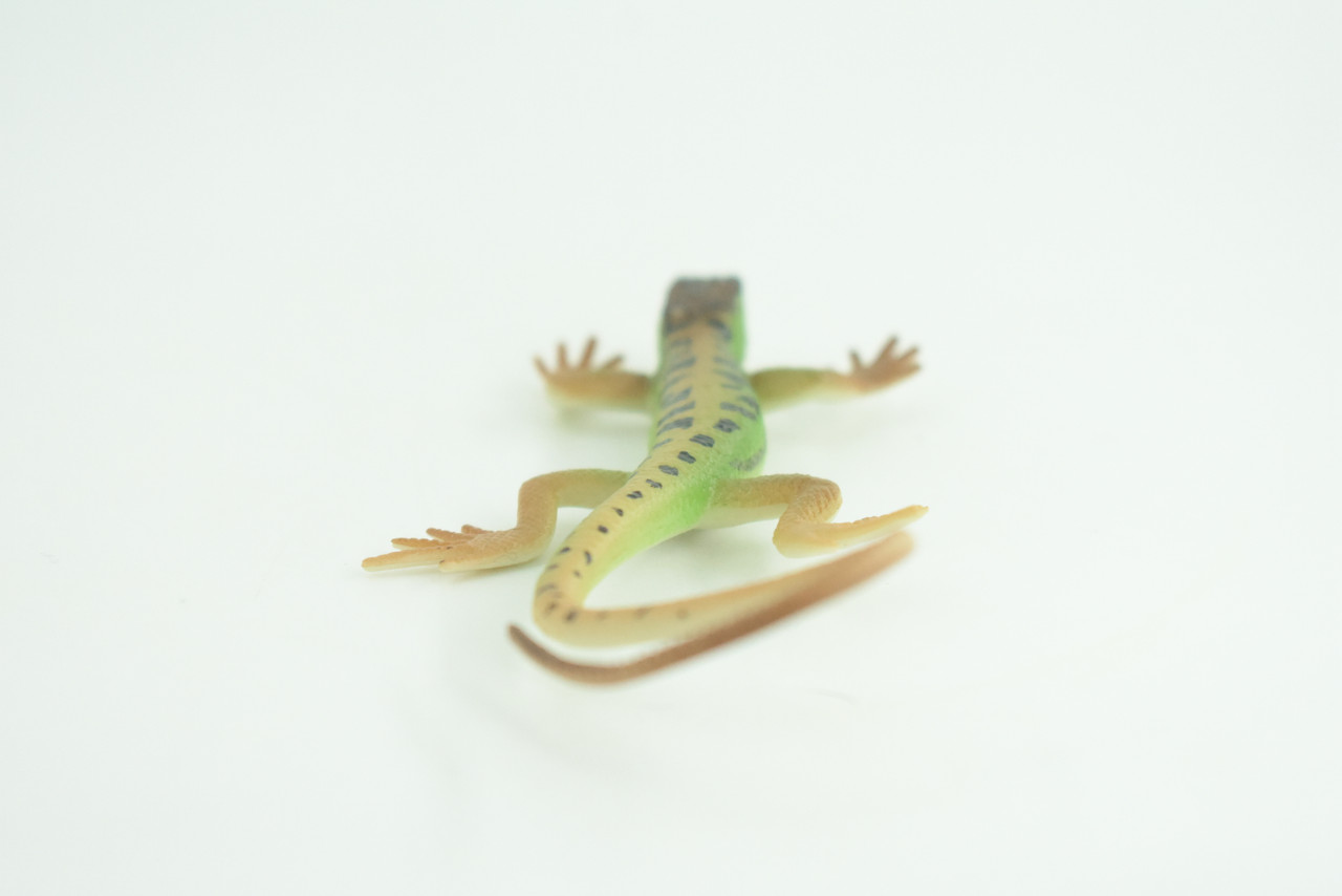 Lizard, Green Rock Lizard, Arribas, Museum Quality, Hand Painted, Rubber Reptile, Realistic Toy Figure, Model, Replica, Kids, Educational, Gift,     5 Inches.   CH929 BB204