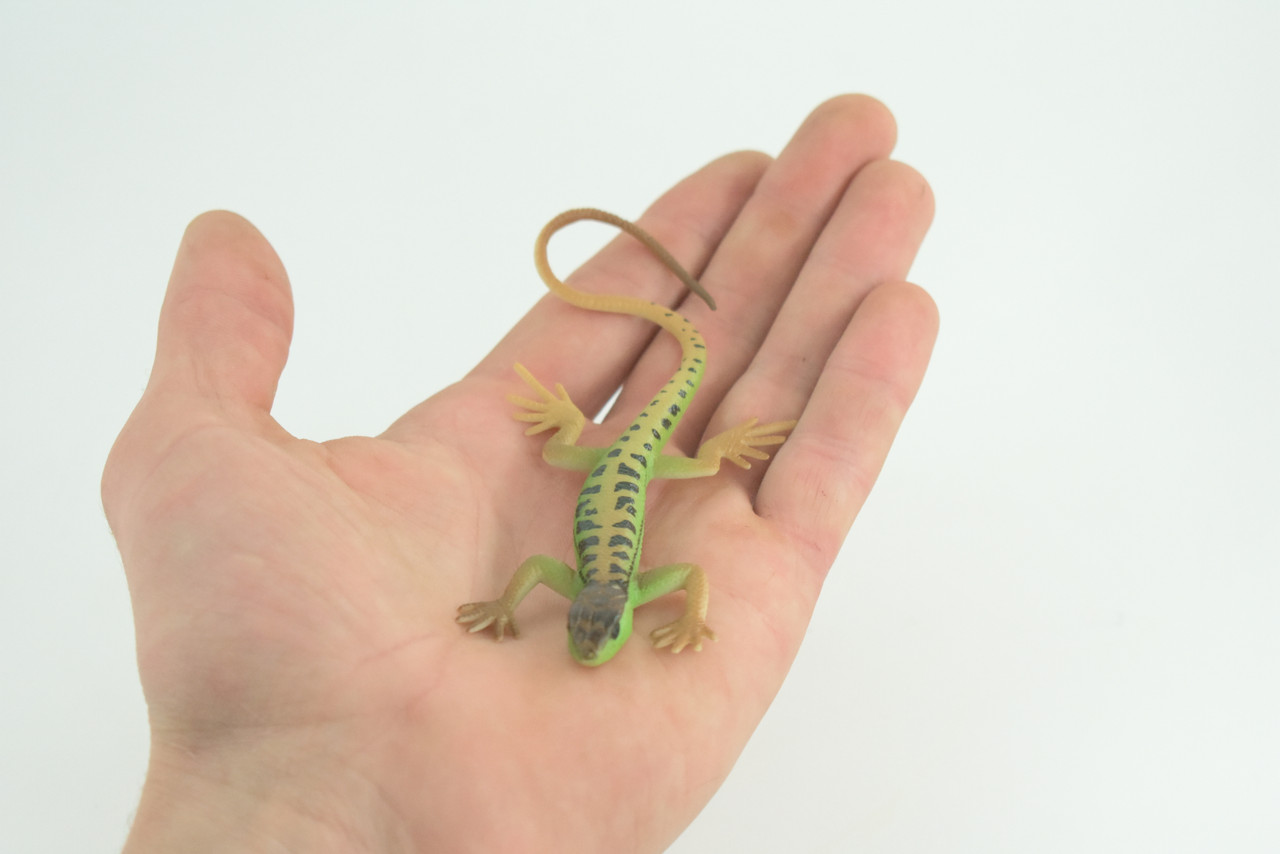 Lizard, Green Rock Lizard, Arribas, Museum Quality, Hand Painted, Rubber Reptile, Realistic Toy Figure, Model, Replica, Kids, Educational, Gift, 5 Inches. CH929 BB204