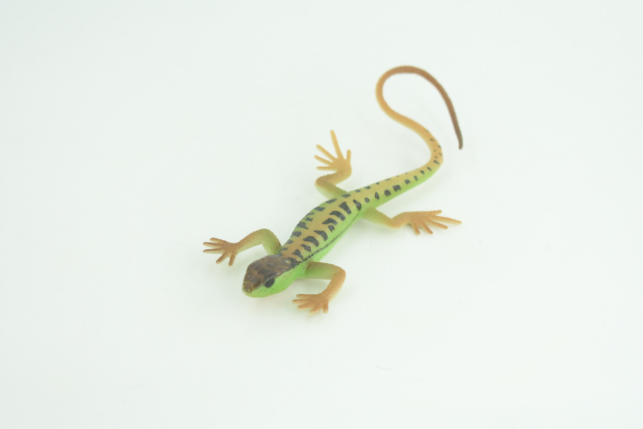Lizard, Green Rock Lizard, Arribas, Museum Quality, Hand Painted, Rubber Reptile, Realistic Toy Figure, Model, Replica, Kids, Educational, Gift,     5 Inches.   CH929 BB204