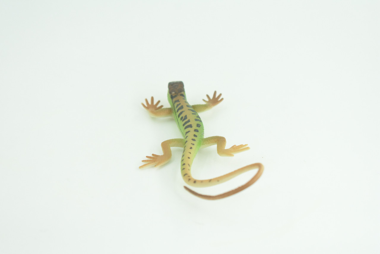 Lizard, Green Rock Lizard, Arribas, Museum Quality, Hand Painted, Rubber Reptile, Realistic Toy Figure, Model, Replica, Kids, Educational, Gift,     5 Inches.   CH929 BB204