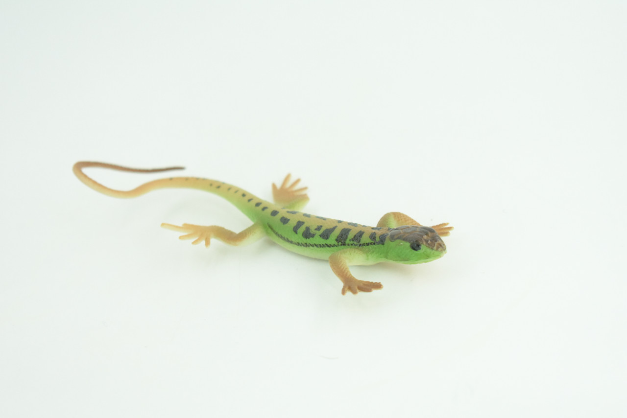 Lizard, Green Rock Lizard, Arribas, Museum Quality, Hand Painted, Rubber Reptile, Realistic Toy Figure, Model, Replica, Kids, Educational, Gift,     5 Inches.   CH929 BB204
