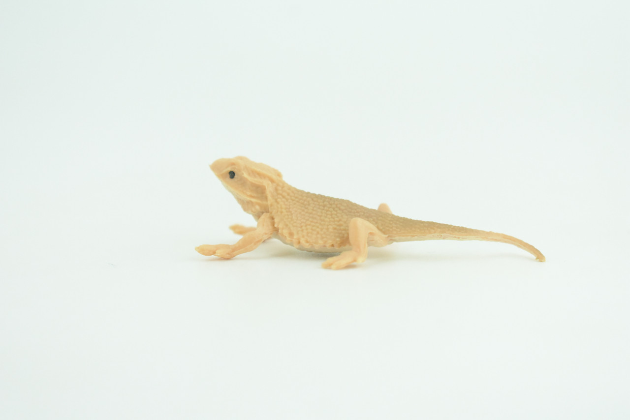 Horned Lizard, Horny Toad, Hand Painted, Educational, Realistic, Rubber, Reptile, Lizard, Diorama, Figure, Toys, Kids, Gift,  2  1/2 Inches. CH930 BB204