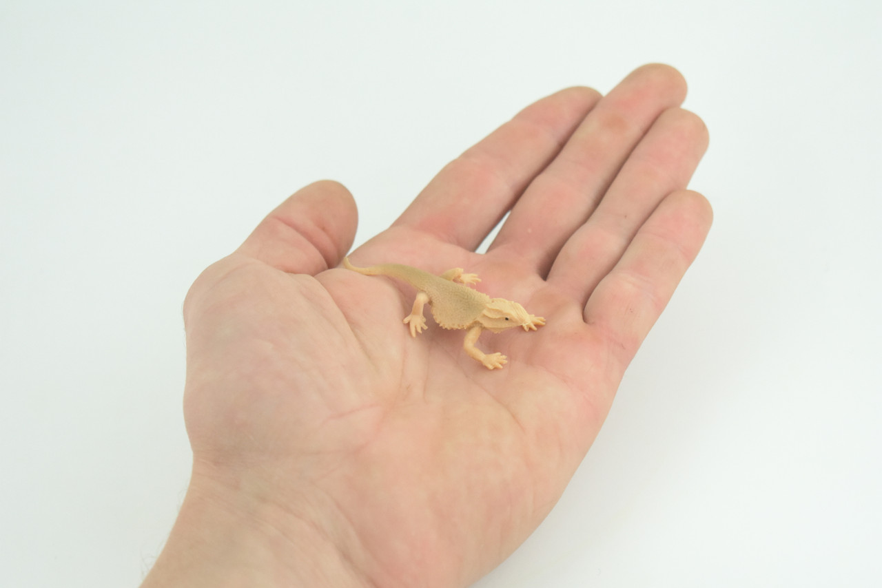 Horned Lizard, Horny Toad, Hand Painted, Educational, Realistic, Rubber, Reptile, Lizard, Diorama, Figure, Toys, Kids, Gift,  2  1/2 Inches. CH930 BB204