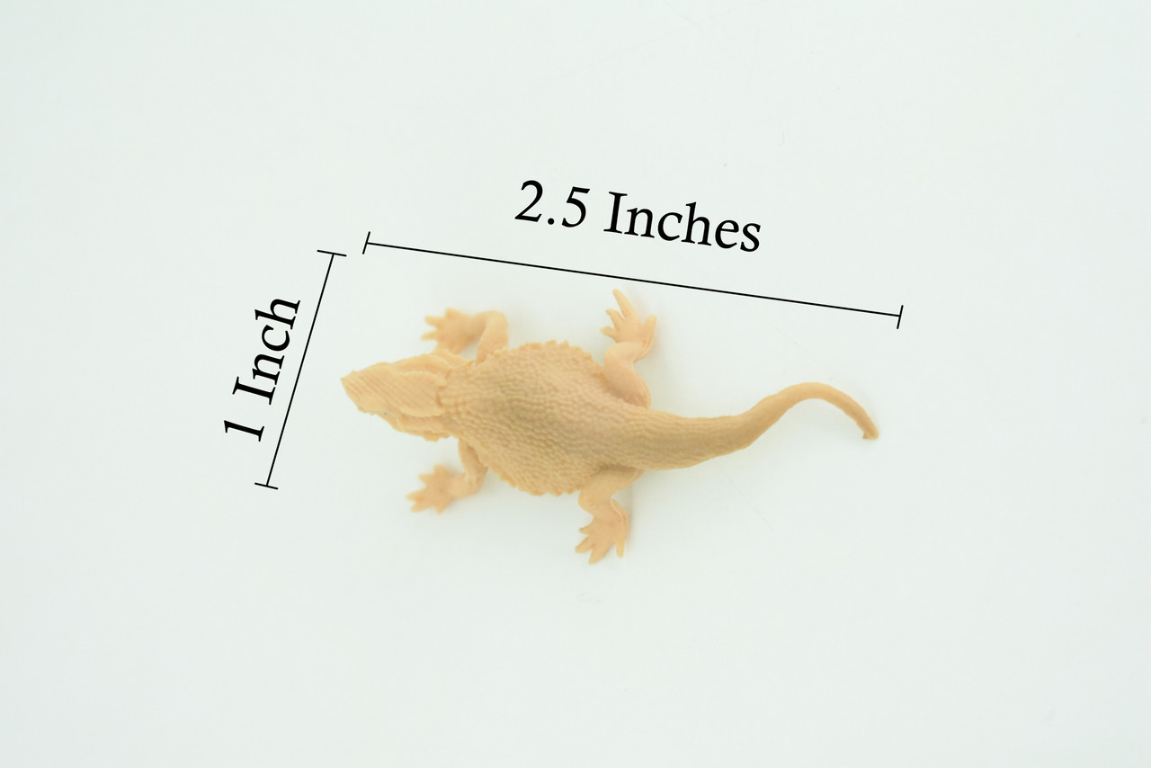 Horned Lizard, Horny Toad, Hand Painted, Educational, Realistic, Rubber, Reptile, Lizard, Diorama, Figure, Toys, Kids, Gift, 2 1/2 Inches. CH930 BB204