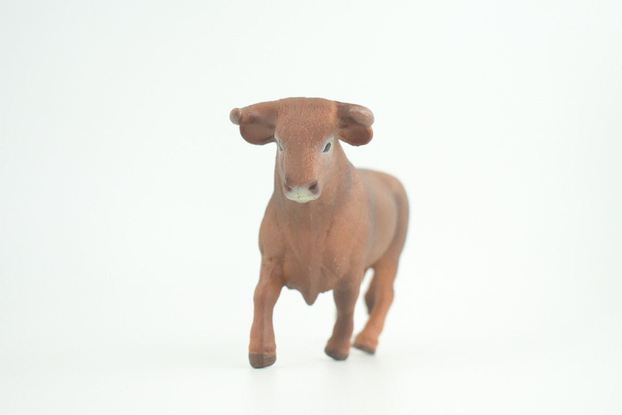 Fighting Bull, Spanish, Museum Quality, Hand Painted, Educational, High Quality Rubber Cow, Realistic, Diorama, Toys, Kids, Gift,    5 1/2 Inches.  CH936 BB206 