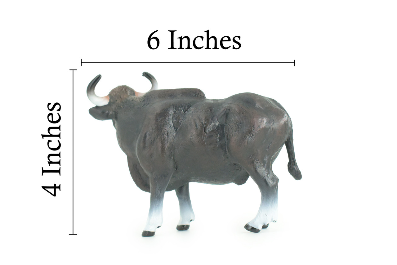 Gaur Bull, Black, Museum Quality, Hand Painted, Educational, High Quality Rubber Cow, Realistic, Diorama, Toys, Kids, Gift, 6 Inches. CH937 BB206