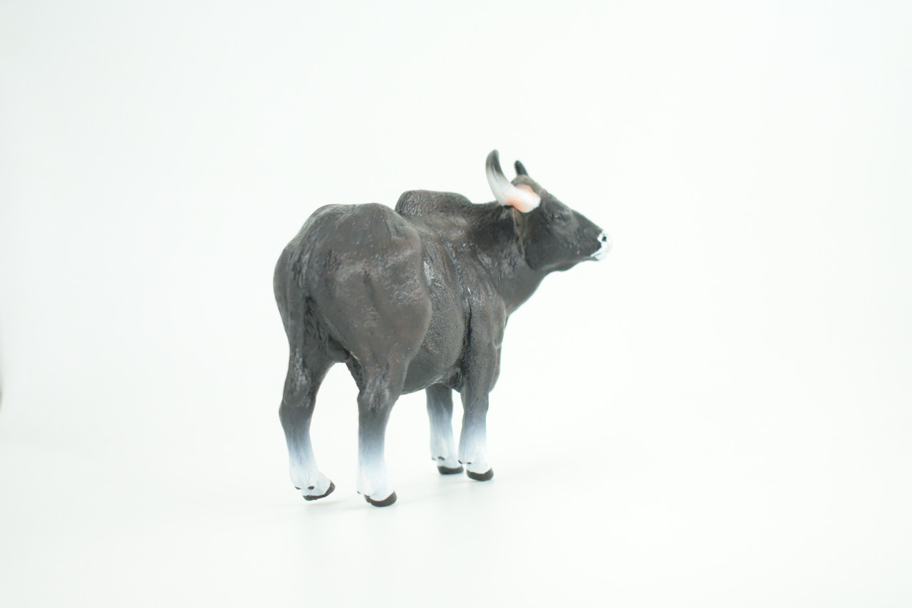 Gaur Bull, Black, Museum Quality, Hand Painted, Educational, High Quality Rubber Cow, Realistic, Diorama, Toys, Kids, Gift,    6 Inches.  CH937 BB206 