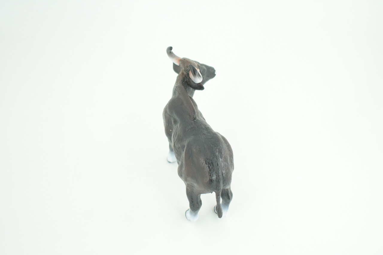 Gaur Bull, Black, Museum Quality, Hand Painted, Educational, High Quality Rubber Cow, Realistic, Diorama, Toys, Kids, Gift,    6 Inches.  CH937 BB206 