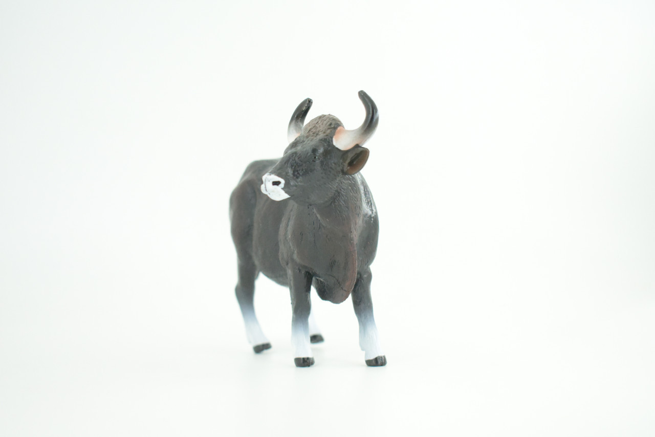 Gaur Bull, Black, Museum Quality, Hand Painted, Educational, High Quality Rubber Cow, Realistic, Diorama, Toys, Kids, Gift,    6 Inches.  CH937 BB206 