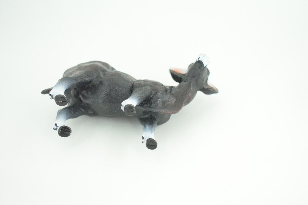 Gaur Bull, Black, Museum Quality, Hand Painted, Educational, High Quality Rubber Cow, Realistic, Diorama, Toys, Kids, Gift,    6 Inches.  CH937 BB206 