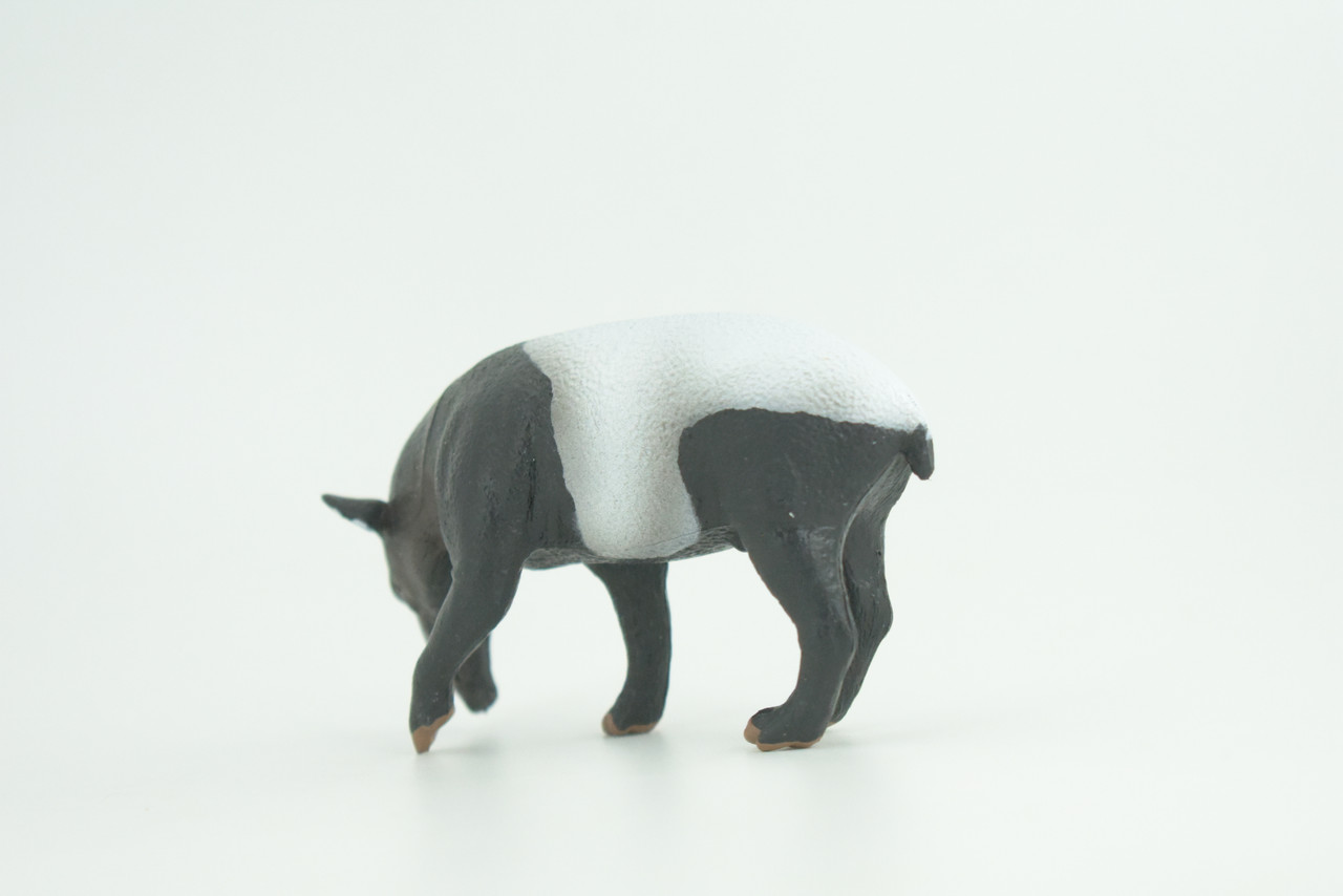 Tapir, Malayan tapir, Hand Painted, Museum Quality, Rubber Animal, Educational, Realistic Figure, Toy, Kids, Replica, Gift,    3 1/2 Inches.  CH941 BB207 