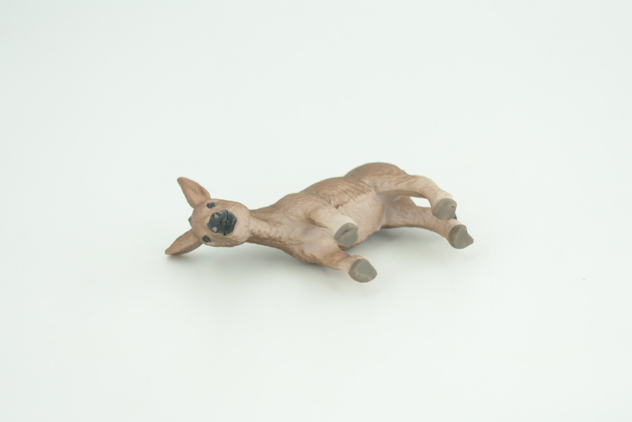 Donkey Baby, Burro Foal, Hand Painted, Museum Quality, Rubber Animal, Educational, Realistic Figure, Toy, Kids, Replica, Gift,    2 3/4 Inches.  CH942 BB208 