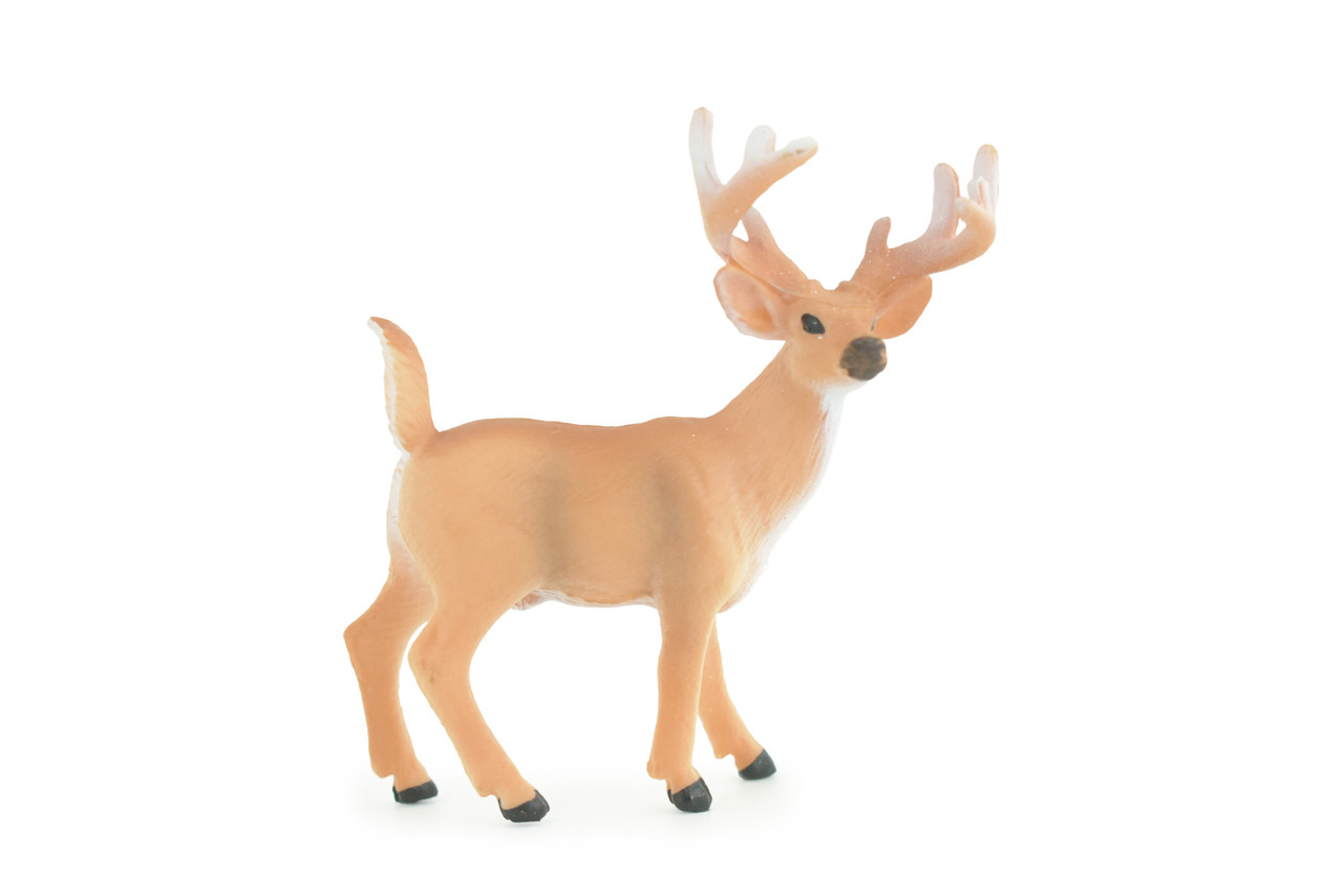  White-tailed Deer, Buck, Male, Museum Quality, Educational, Hand Painted, Rubber Animal, Realistic, Diorama, Toy, Kids, Gift, 4 Inches. CH943 BB208