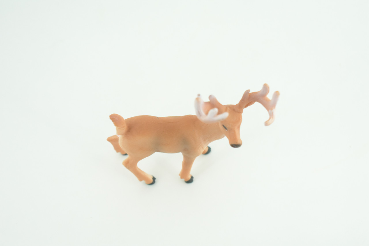 White-tailed Deer, Buck, Male, Museum Quality, Educational, Hand Painted, Rubber Animal, Realistic, Diorama, Toy, Kids, Gift,   4  Inches.  CH943 BB208 