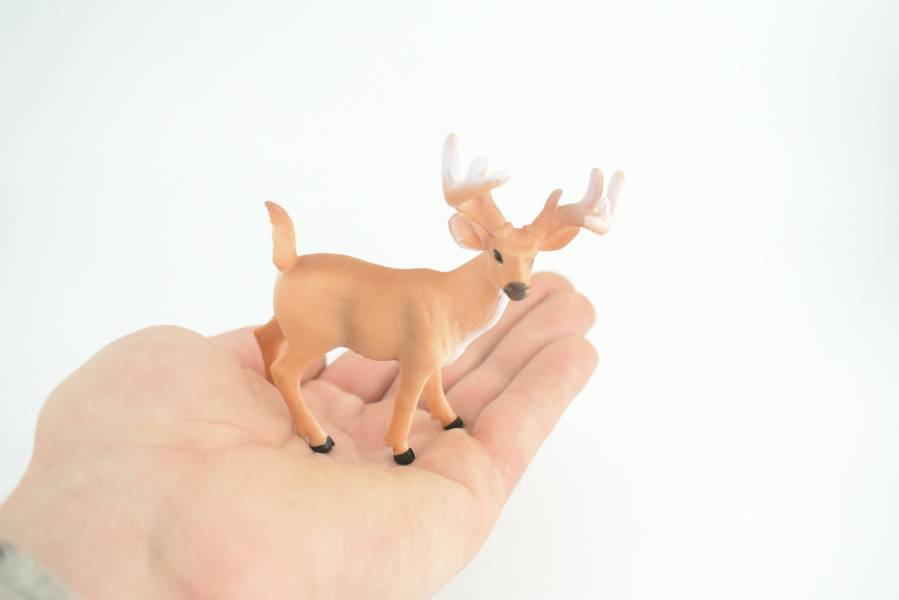  White-tailed Deer, Buck, Male, Museum Quality, Educational, Hand Painted, Rubber Animal, Realistic, Diorama, Toy, Kids, Gift, 4 Inches. CH943 BB208