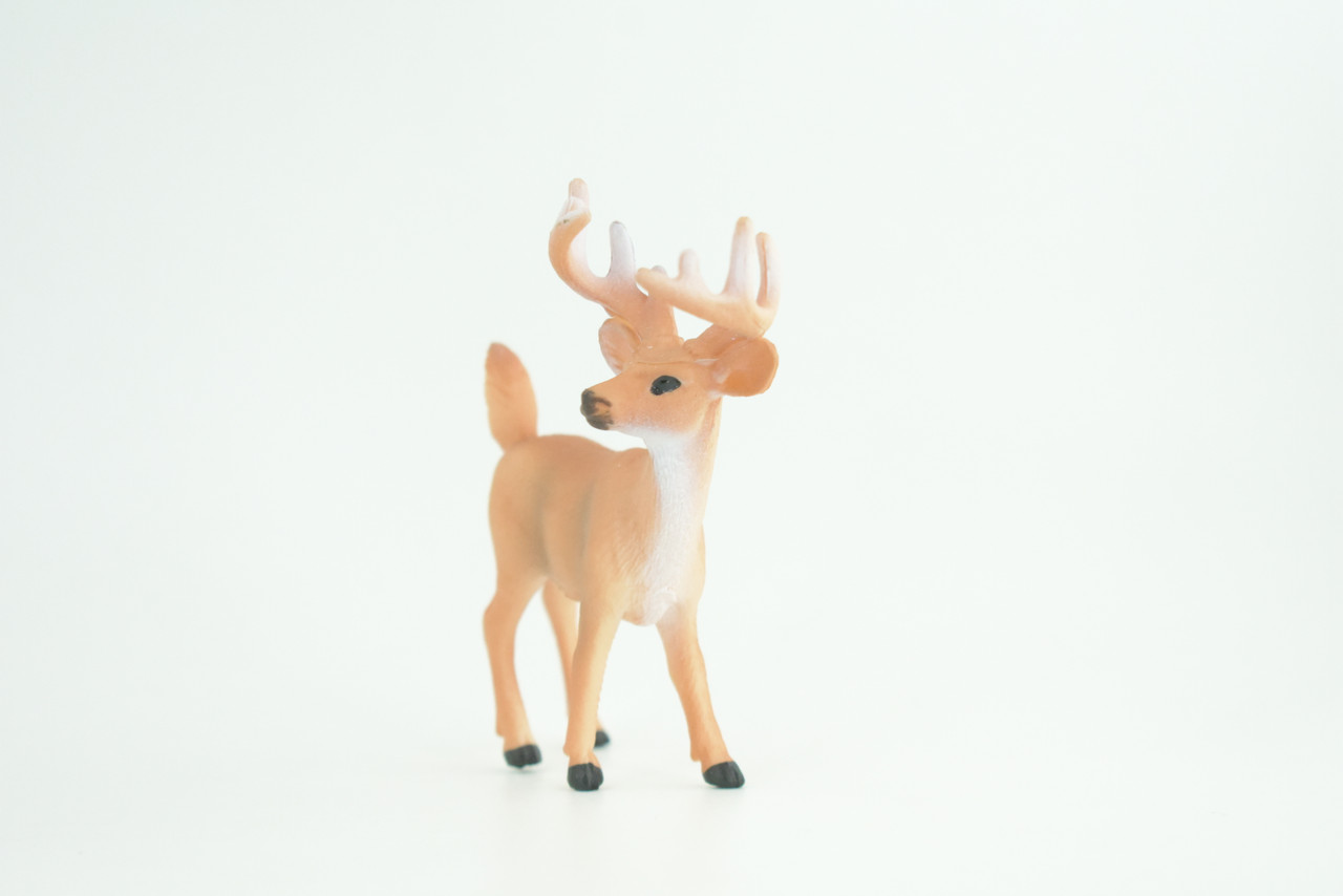 White-tailed Deer, Buck, Male, Museum Quality, Educational, Hand Painted, Rubber Animal, Realistic, Diorama, Toy, Kids, Gift,   4  Inches.  CH943 BB208 