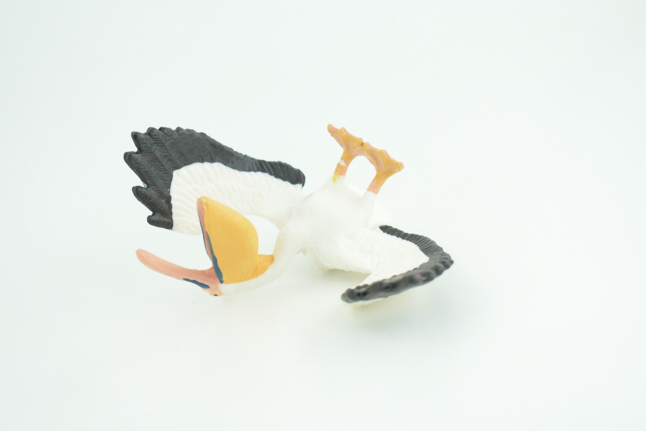Pelican, with Open Mouth, Hand Painted, Educational, High Quality Rubber Bird, Realistic, Diorama, Very Nice Design, Figure, Toys, Kids, Gift,  4  Inches.   CH945 BB208
