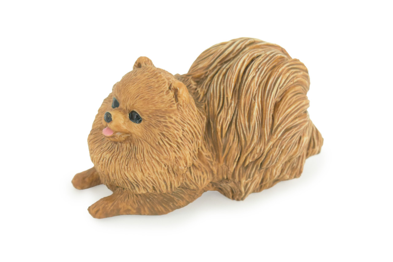 Pomeranian Dog, Brown, Hand Painted, Educational, Museum Quality, Rubber Canine, K9, Realistic, Diorama, Figure, Toys, Kids, Gift, 3 Inches. CH947 BB208