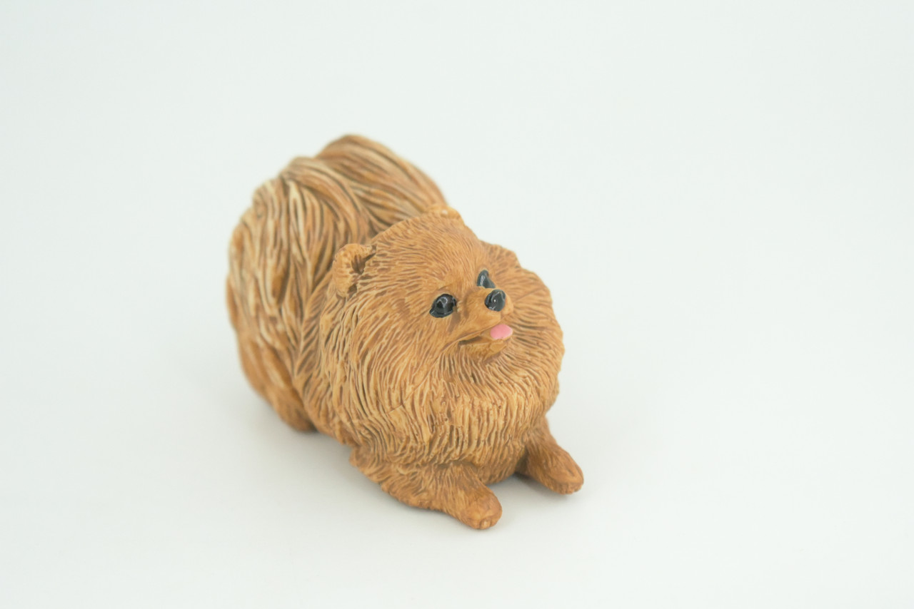 Pomeranian Dog, Brown, Hand Painted, Educational, Museum Quality, Rubber Canine, K9, Realistic, Diorama, Figure, Toys, Kids, Gift,  3 Inches. CH947 BB208 