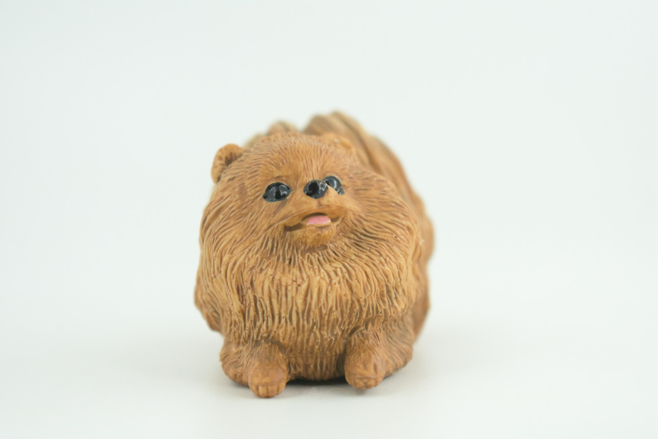 Pomeranian Dog, Brown, Hand Painted, Educational, Museum Quality, Rubber Canine, K9, Realistic, Diorama, Figure, Toys, Kids, Gift,  3 Inches. CH947 BB208 