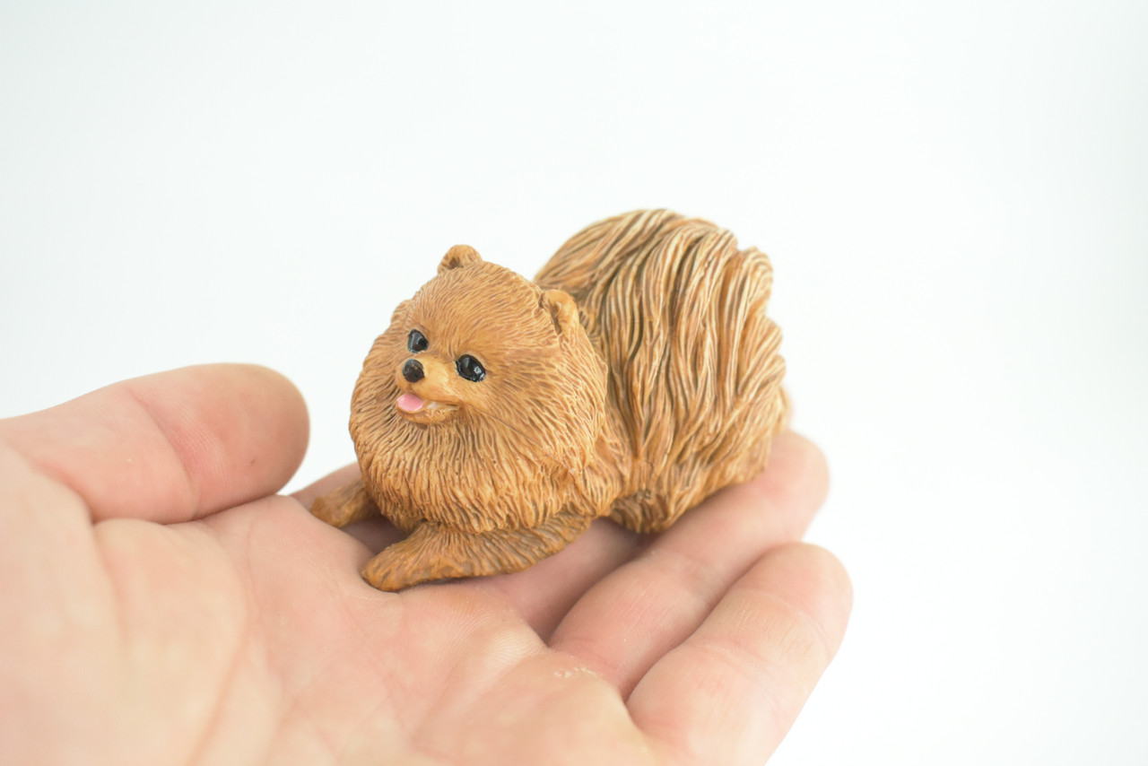 Pomeranian Dog, Brown, Hand Painted, Educational, Museum Quality, Rubber Canine, K9, Realistic, Diorama, Figure, Toys, Kids, Gift, 3 Inches. CH947 BB208