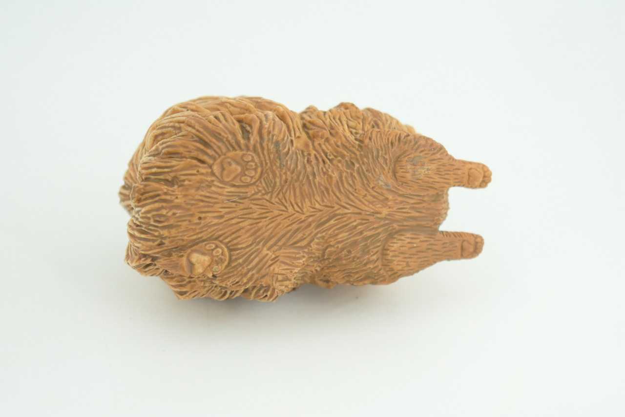 Pomeranian Dog, Brown, Hand Painted, Educational, Museum Quality, Rubber Canine, K9, Realistic, Diorama, Figure, Toys, Kids, Gift,  3 Inches. CH947 BB208 