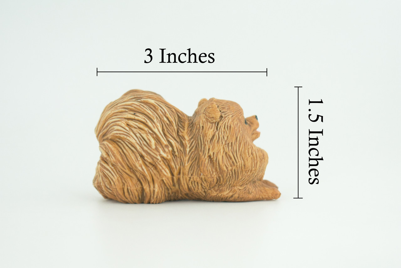 Pomeranian Dog, Brown, Hand Painted, Educational, Museum Quality, Rubber Canine, K9, Realistic, Diorama, Figure, Toys, Kids, Gift, 3 Inches. CH947 BB208
