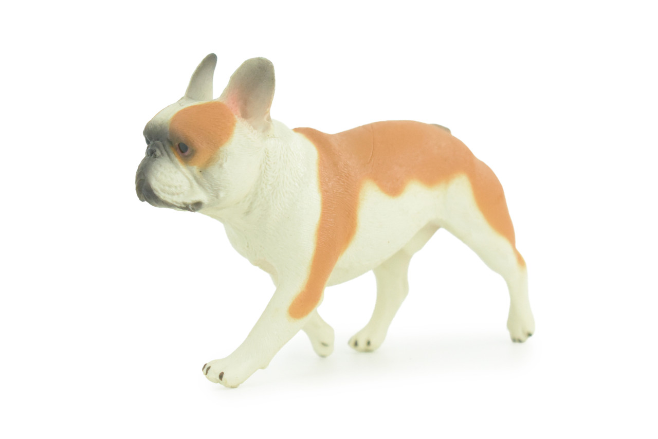 French Bulldog, Bull Dog, Hand Painted, Educational, Museum Quality, Rubber Canine, K9, Realistic, Diorama, Figure, Toys, Kids, Gift, 4 Inches. CH949 BB208
