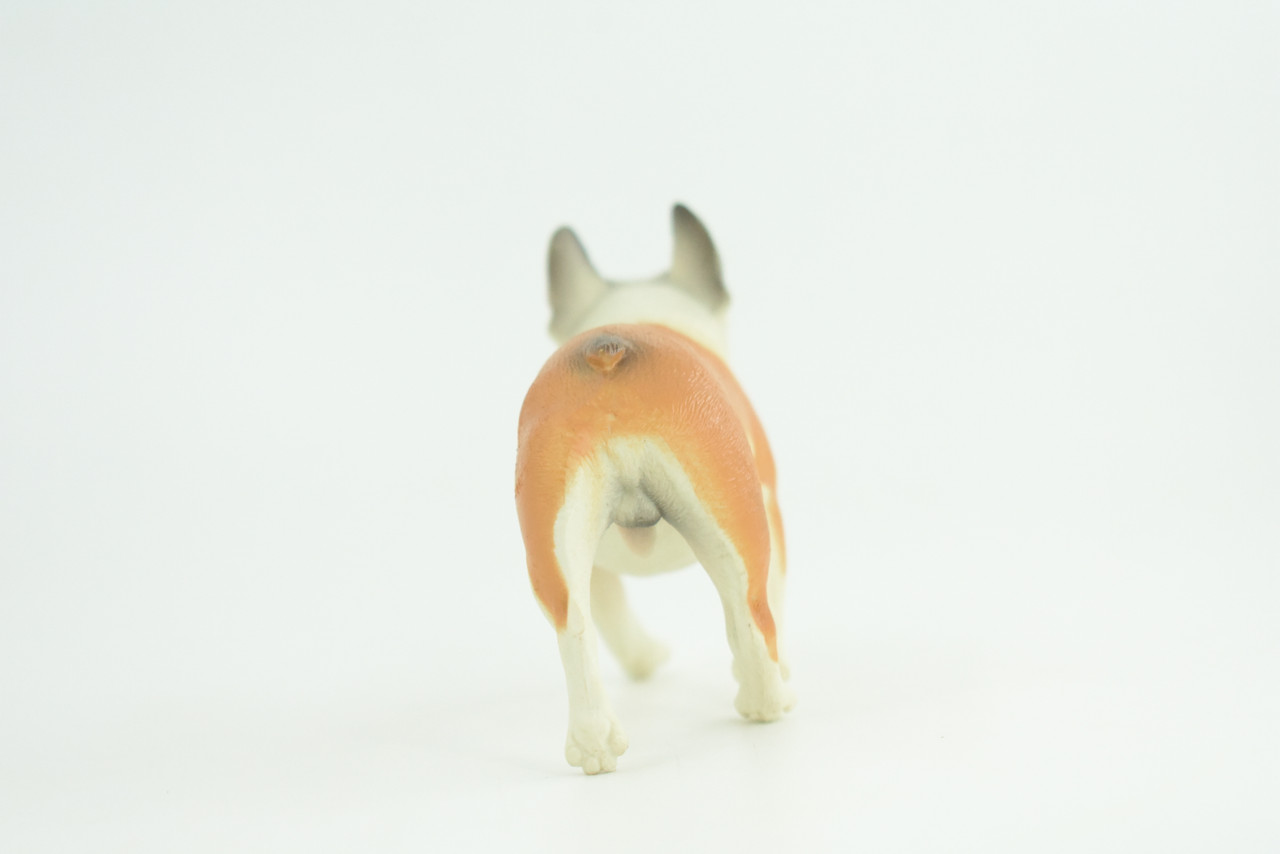 French Bulldog, Bull Dog, Hand Painted, Educational, Museum Quality, Rubber Canine, K9, Realistic, Diorama, Figure, Toys, Kids, Gift,  4 Inches.  CH949 BB208 