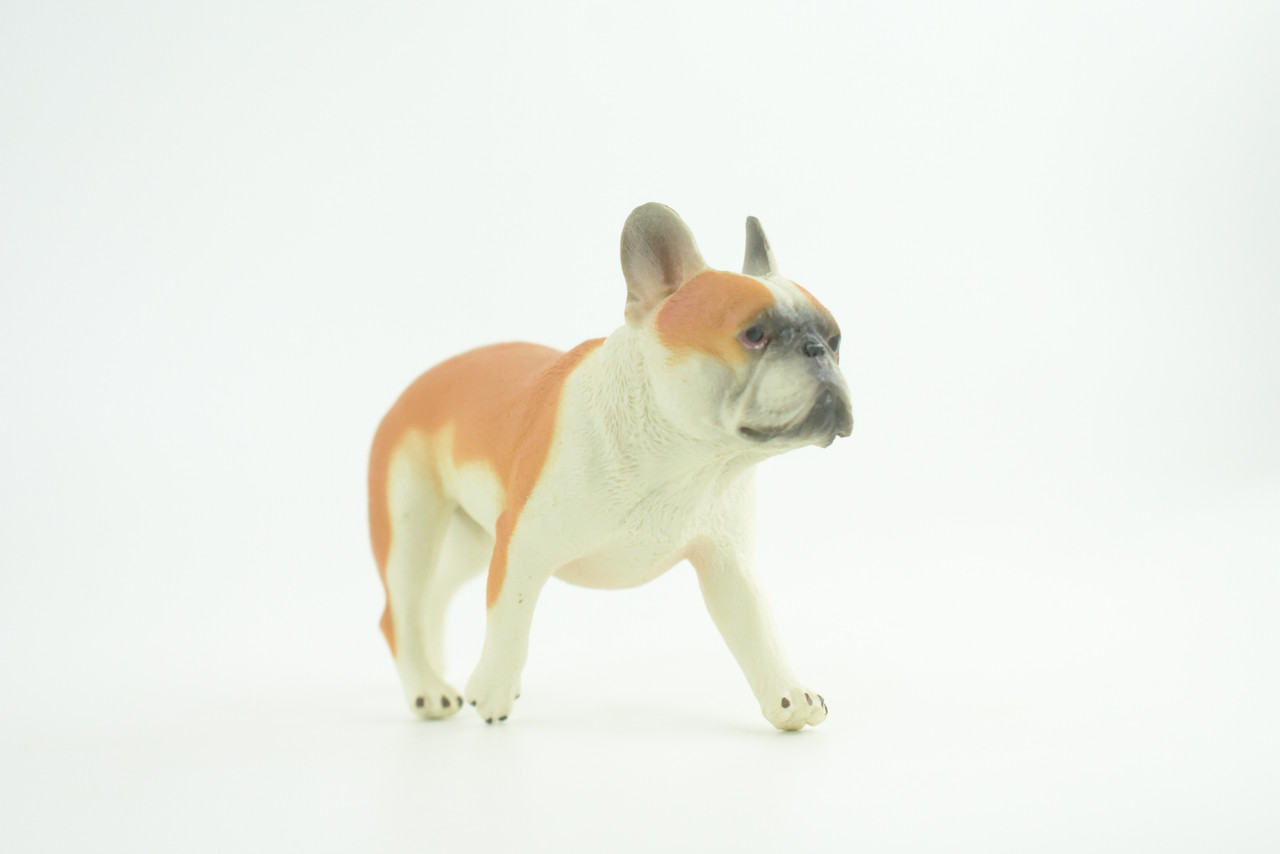 French Bulldog, Bull Dog, Hand Painted, Educational, Museum Quality, Rubber Canine, K9, Realistic, Diorama, Figure, Toys, Kids, Gift,  4 Inches.  CH949 BB208 